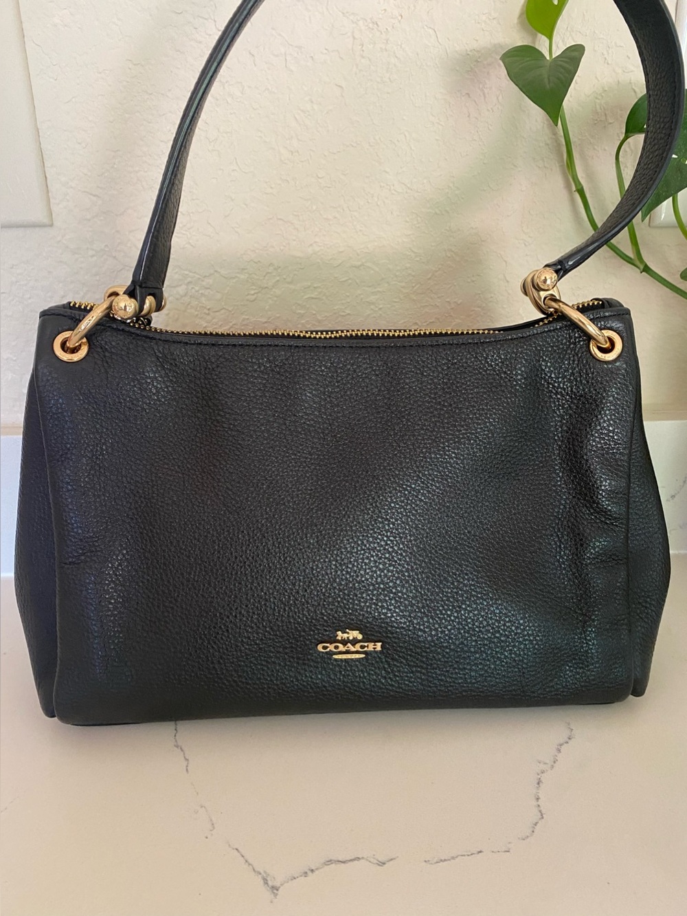 EUC Coach Shoulder Bag